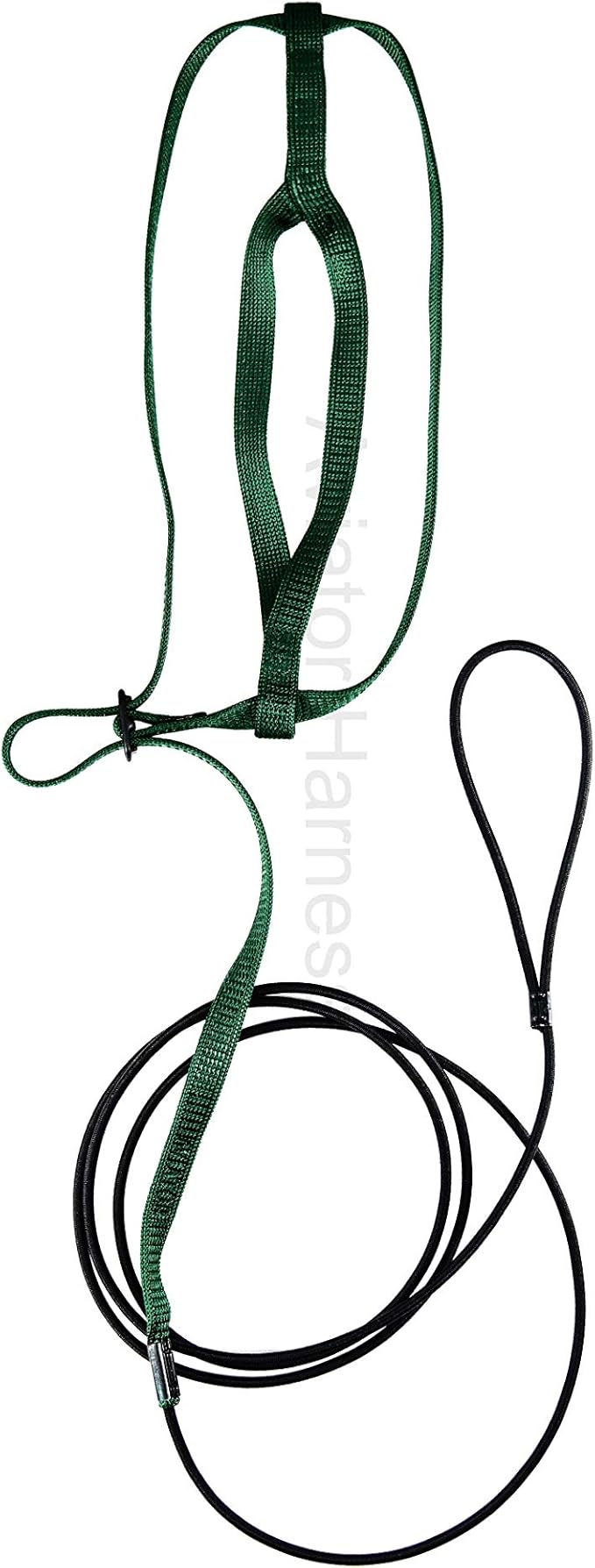 The AVIATOR Pet Bird Harness and Leash: Large Green