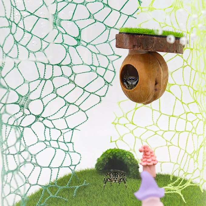 2 Pack Jumping Spider Enclosure Accessories, Magnetic Walnut Hide with Wooden Platform, Plastic Grass Topper, Spider Hideout with Moss for Terrariums
