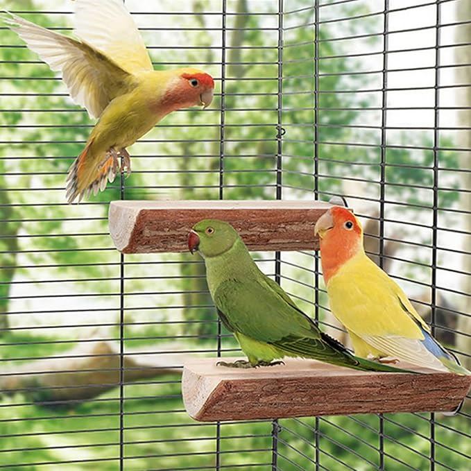 24 Inch Bird Rope Ladder Toy - Natural Wood Perch Stand,with 0.78 Inch Diameter Metal Screw Ends,Interactive Chewing Climbing Toy for Parakeets, Budgies,Cockatiels, Small to Medium Birds