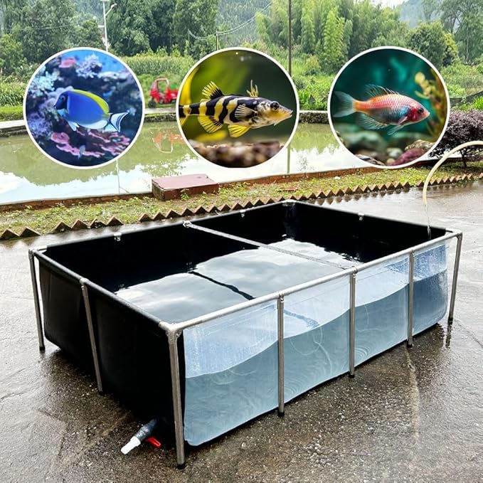 Aquarium Pool Pond,Collapsible Fish Ponds for Outside with Transparent Clear Viewing Panel,880 Gallon Fish Tank,PVC Canvas Above Ground Pond,Indoor/Outdoor Pond for Koi,Goldfish,with Drain Valve