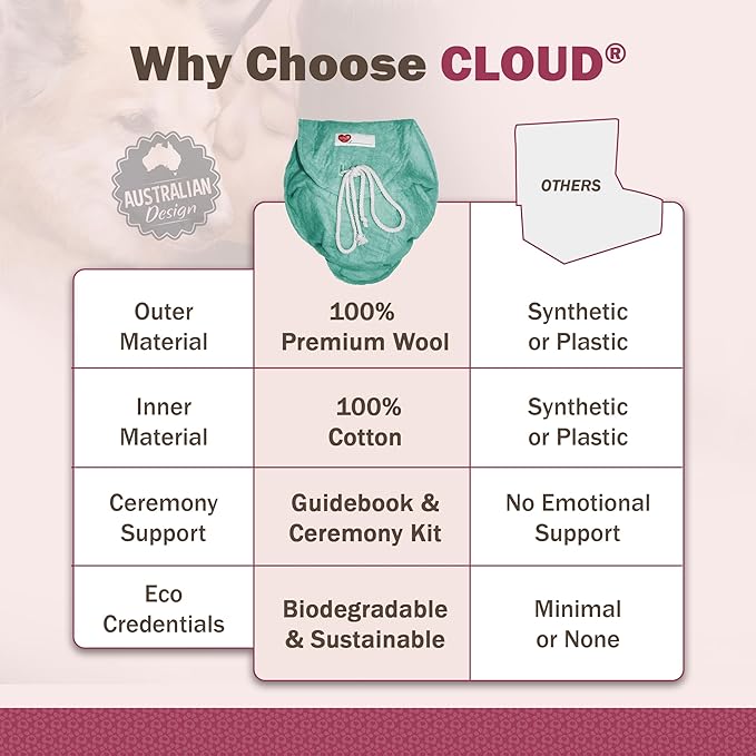 Cloud® - Eco-Friendly Pet Burial & Cremation Ceremony Kit - Casket for Smaller Pets: Rabbits Hamsters Gerbils Birds Reptiles, Small Cats (Choose Size & Color)(Small, Aqua)