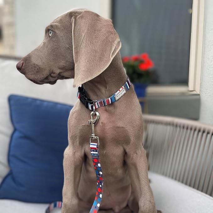 Lucky Love Dog - Adjustable Dog Collar and Leash Set with Easy Click Buckle for Small to Large Dogs, Durable, & Comfortable Collar for Male & Female Dogs, Puppies & Adult Ones - Linus Combo, Small