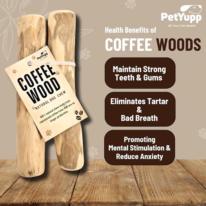 Natural Coffee Wood Dog Chew Small, 2 Count - Promotes Dental Health, Reduces Tartar & Chewing Exercise for Aggressive Chewers, Small, Medium & Large Dogs - Safe Chew Toy for Puppy