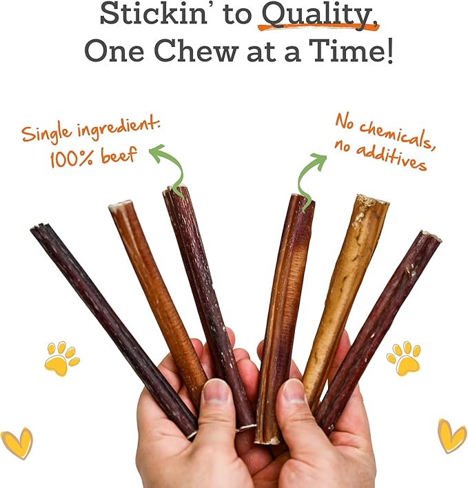 6 Inch Bully Sticks (Pack of 10) - 100% Beef, Odor Free Dog Chews for Aggressive Chewers - Long Lasting, Gluten-Free, Easy to Digest, High Protein & Rawhide Free Chews for Dogs