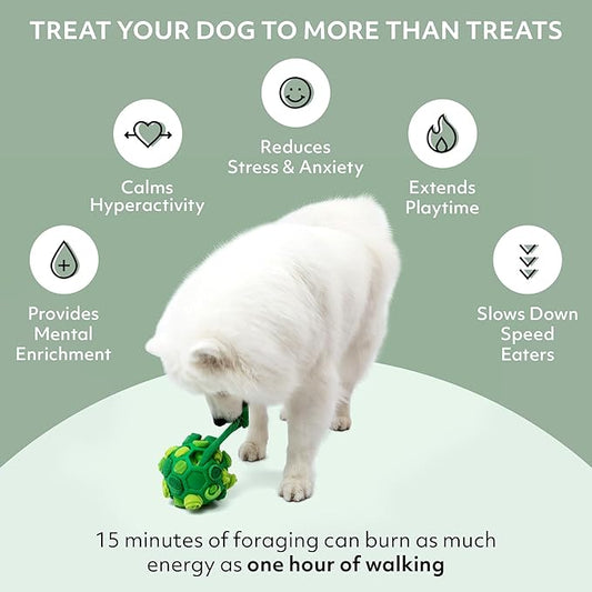 Reggie Forager Ball & Training Treats for Dogs | Enrichment Toy + Healthy Turkey & Pumpkin Training Treats | Reduces Boredom, Stress & Hyperactivity | Low-Calorie, Protein-Packed | 340 Treats