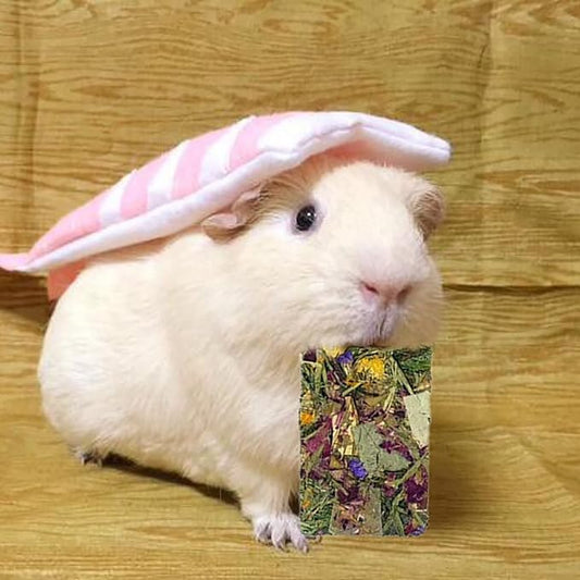 10 Pcs Rabbit Chew Toys for Teeth,Chinchilla Natural Timothy Hay Chips Treats Guinea Pig Floral Scent Snacks Treats Dental Health Chewable for Hamsters,Rabbits,Bunny,Chinchillas