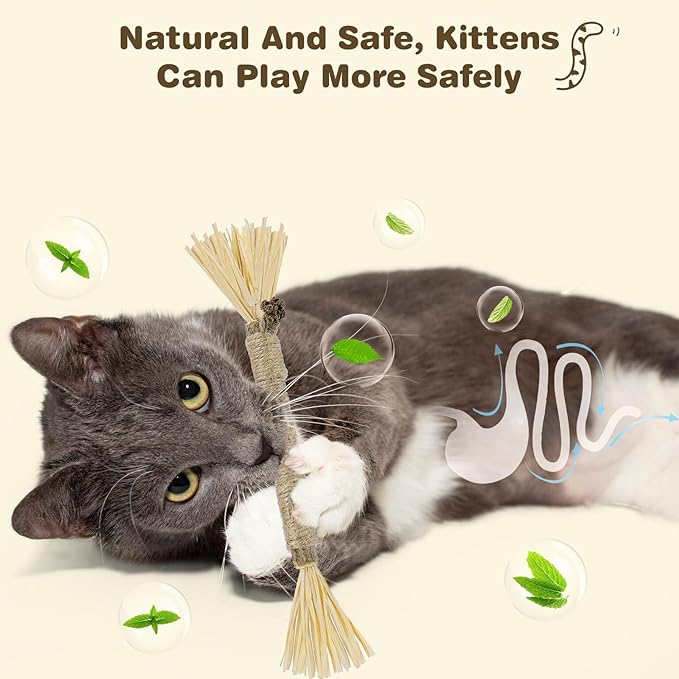 2 Pack Silvervine Sticks for Cats - Cat Chew Toy for Teeth Cleaning, Edible Matatabi Kitty Chew Sticks, Catnip Cat Toys for Indoor Cats (2 Sticks)