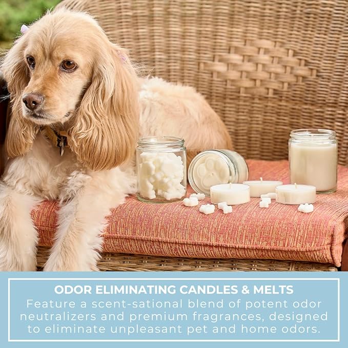 9oz Pet Odor Eliminator Deodorizer Candle, Long-Lasting Cotton Scented, Non Toxic, Natural Plant-Based Wax Blend