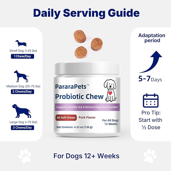Probiotics for Dogs,Dog Gut Health Probiotics,Gastrointestinal Health Promotes Digestion and Nutrient Absorption, 60 Soft Chews
