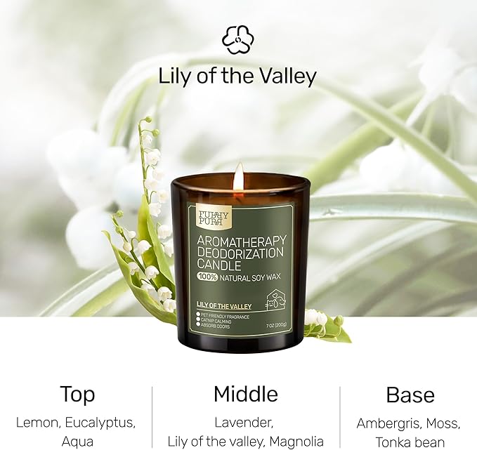 Odor Eliminating Candle, Lily of The Valley Scented Candle, Pet-Friendly Soy Candles, 60 Hours, 7 oz