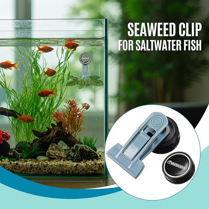 Blulu 4 Pcs Magnetic Seaweed Feeding Clips Saltwater Aquarium Tank Accessories Algae Magnet Seaweed Feeder for Fish and Aquatic Pets, Automatic Fish Feeder
