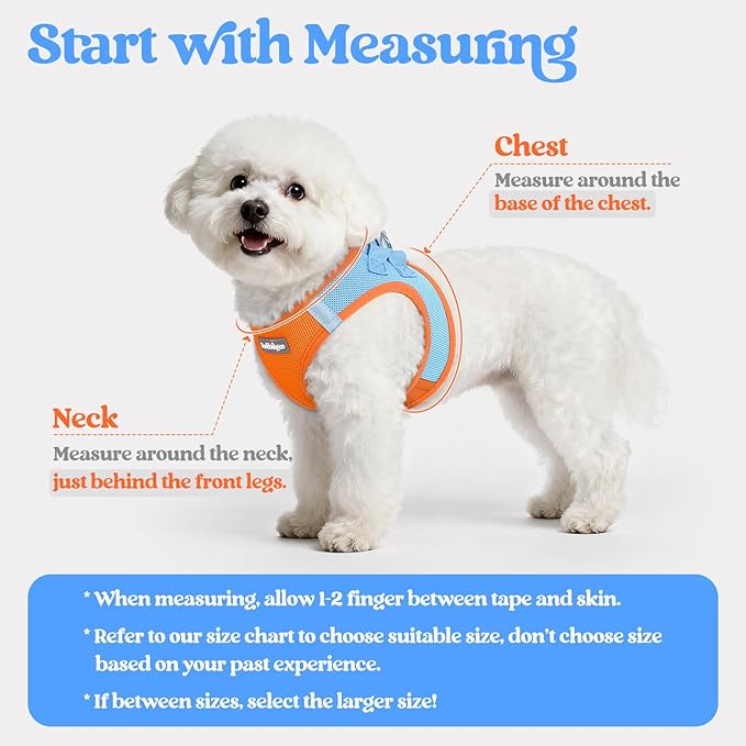 rabbitgoo Dog Harness Small Medium Sized and Leash Set, Step in Soft Light Puppy Vest, Breathable Mesh Pet Harness, Reflective for Safe Easy Walking, Blue & Orange XL