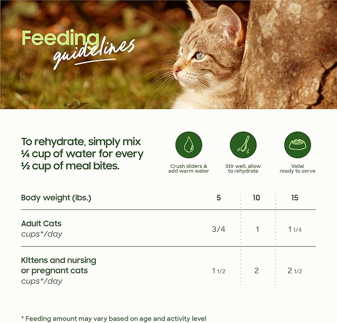 smallbatch Freeze-Dried Raw Cat Food, Shelf Stable Food Bites, Beef Recipe, High Protein Meal or Topper for Cats, Humanely Raised Meat, Organic, Non-GMO Produce, Made in The USA, 10oz Bag