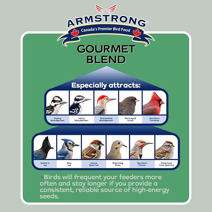 Gourmet Blend, 33 Pounds - with White & Red Millet, Cut Corn, Wheat, Black Oil Sunflower, Striped Sunflower, Peanuts & Safflower for Blue Jays and Northern Cardinals
