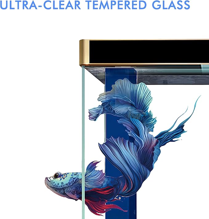 400 Gallon Aquarium Tempered Ultra-Clear Glass with Complete Setup in Black and Gold Trims