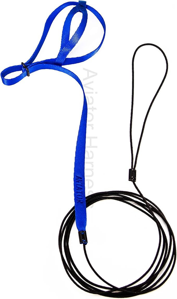 The AVIATOR Pet Bird Harness and Leash: Mini Blue