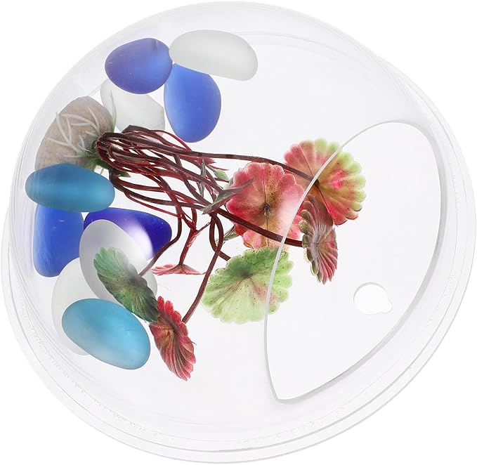 POPETPOP Wall Mounted Fish Bowl : Acrylic Hanging Fish Tanks Transparent Aquarium Wall Plant Pot for Home Decor, 5.89X5.89X2.75in