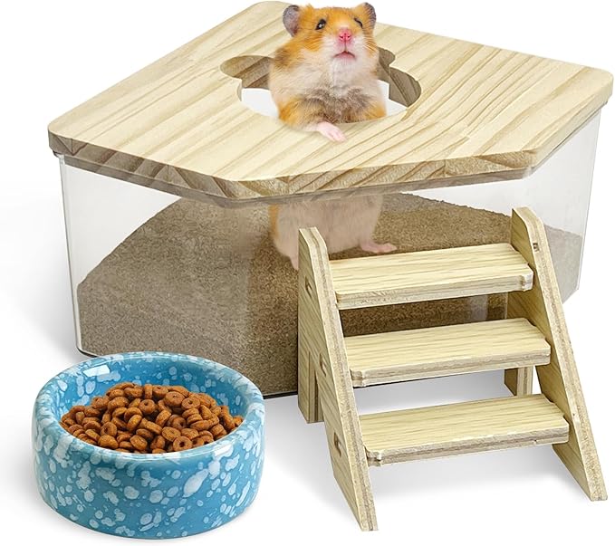 kathson Hamster Sand Bath Box Transparent Acrylic Small Syrian Hamster Shower Bathtub Small Gerbil Digging Sand Container with Climbing Ladder and Ceramic Bowl Cage Accessories for Lemmings Mice