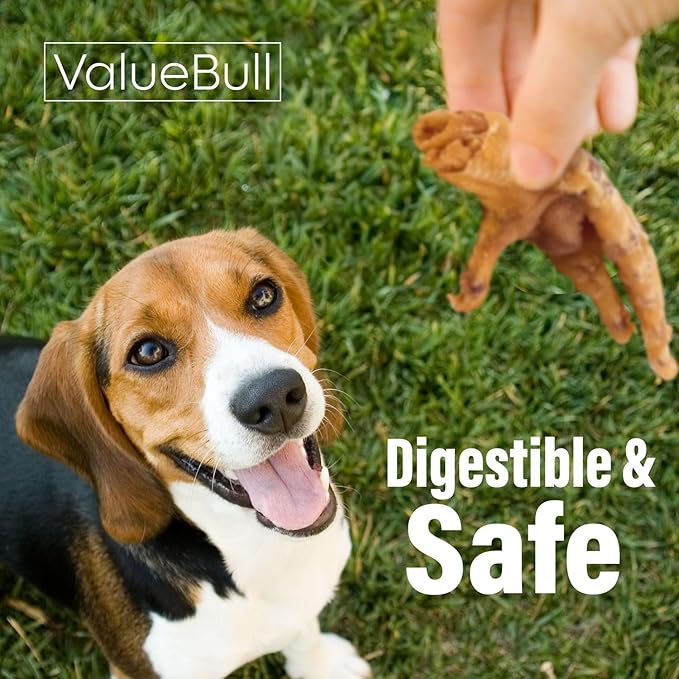 ValueBull Chicken Feet for Dogs, 800 Count Wholesale Pack - All Natural Dog Chew, Hip and Joint Chew, Single Ingredient Dog Treat