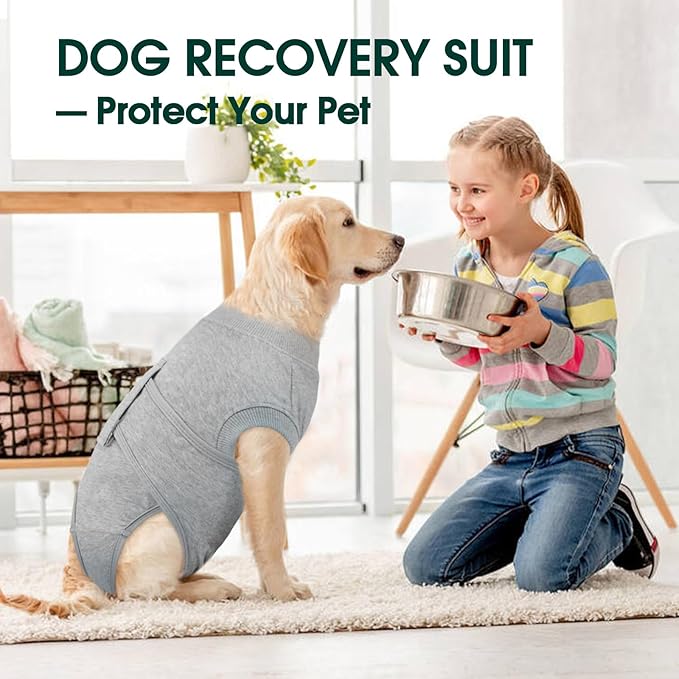 Kuoser Dog Recovery Suit for Male Dogs, Post-Surgery Bodysuit for Spay Neuter, Dog Onesie After Surgery, Anti-Licking Pet Surgical Recovery Suit, Gray M