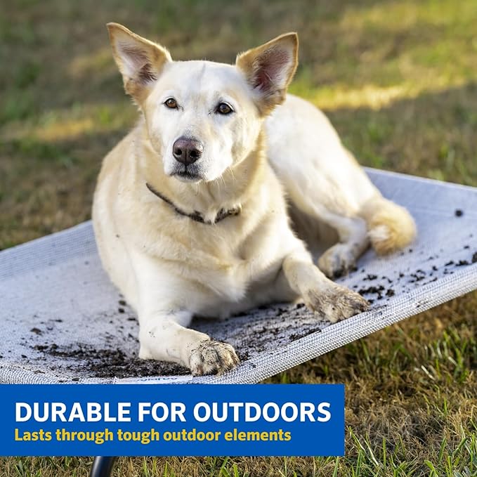 Coolaroo Original Elevated Dog Bed - Breathable Off-The-Ground Pet Bed with Cooling Fabric, Joint Relief & Moisture-Resistant Fabric, 100% Recyclable, Easy Clean, Gray, Extra Large