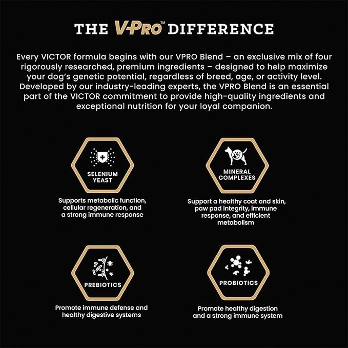 VICTOR Super Premium Dog Food – High Energy Dry Dog Food for Active Dogs – Gluten Free Canine Kibble with Beef and Chicken Meal Proteins for Sporting Dogs – All Breeds and All Life Stages, 15 lb