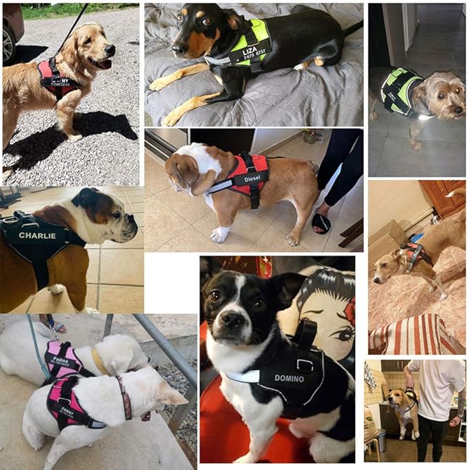 HOTGOL Custom No Pull Dog Harness with Personalize Name and Phone Number Tag,Reflective Breathable Adjustable Pet Vest for Small to Large Dogs