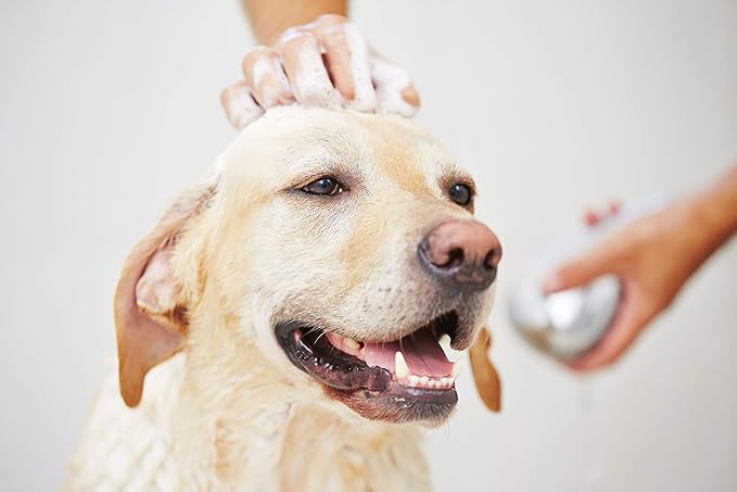PET SILK Cool Dog 11.6oz Cologne, an Exclusive Fragrance Combining Fruity Floral Notes with the Freshness of Citrus and Kiwi, Long Lasting Scent keeps your pet smelling fresh, Made for the Cool Dog