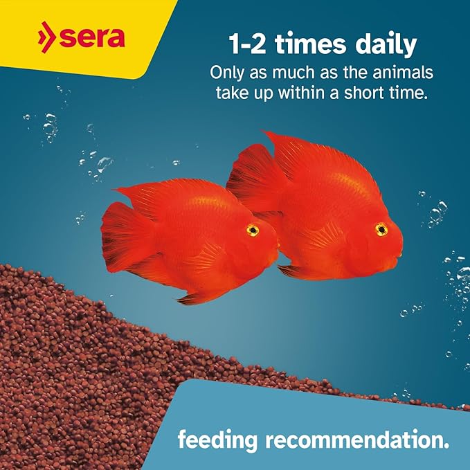 Sera Red Parrot Color Granules 33,8 fl oz | for Parrot Cichlids & Other fastidious, Colorful Fish | Natural carotenoids & Krill for Colorful Fish | Valuable Ingredients for Optimal Growth Development