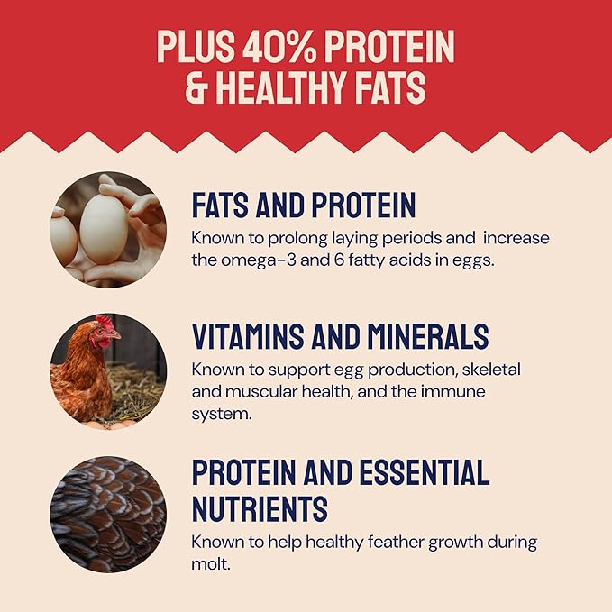 Chicken Feed & Treats - 10 Lb Non-GMO Bulk Larvae & Grubs - High-Protein Food for Laying Hens & Poultry - Grubs & Worms for Chickens & Bluebird Food - Calcium-Rich Supplement