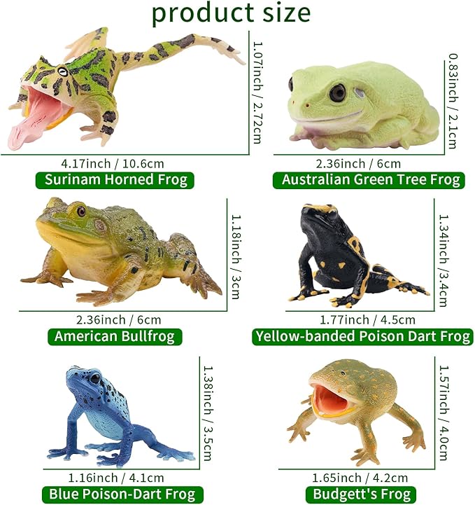 Toymany Frog Toy Figures, Plastic Rainforest Woodland Animals Toy Frogs Set with Realistic Poison Dart Frog, Cake Topper Party Favor Garden Flowerpot Plants Decor