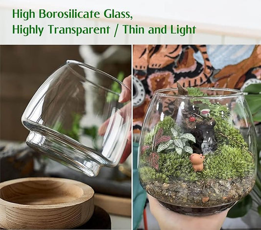 6 Inch Plant Glass Terrarium with Removable Wooden Base for Succulents Glass Bowl for Air Plant Cactus Moss, Betta Fish Terrarium (Plants not Included)