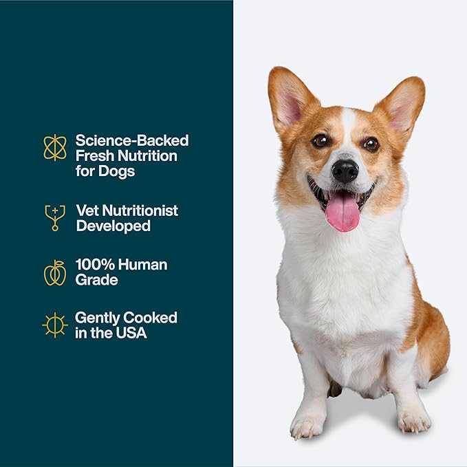 JustFoodForDogs Pantry Fresh Wet Dog Food, Complete Meal or Topper, Chicken & White Rice Human Grade Recipe - 12.5 oz (Pack of 6)