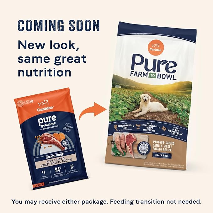 Canidae Pure Limited Ingredient Premium Adult Dry Dog Food, Real Lamb & Sweet Potato Recipe, 22 lbs, Grain Free