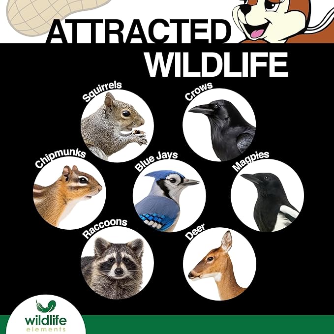 Peanut Party Unprocessed, Raw in-Shell Peanuts Wildlife Animal Food, 10lb - Rich in Protein, Healthy Fats, and Essential Nutrients for Birds, Squirrels & Waterfowl