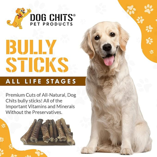 Dog Chits Bully Sticks for Dogs and Puppies | 6-inch, 12 Pack | Natural Healthy Long Lasting Chew for Large and Small Dogs Protein Treats | Odor Free