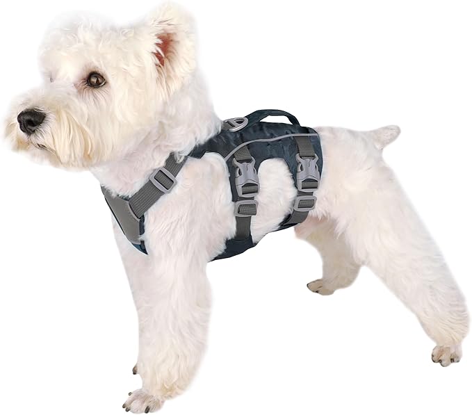 Escape Proof Dog Harness, Lightweight Full Body Pet Vest with Lift Handle and Leash Clip, Reflective Adjustable Small Dog Harness for Daily Walking(Red,Chest:14-22")