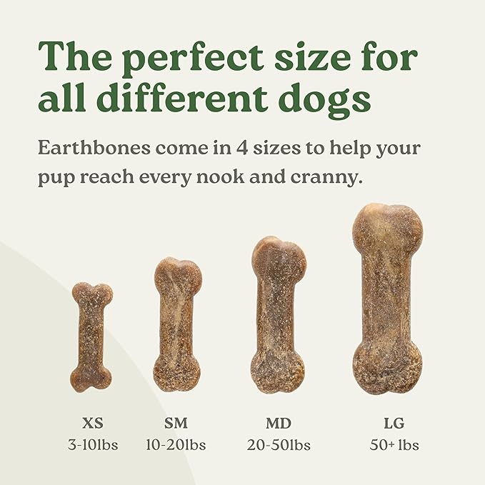 Presidio Earthbones (Formerly Terrabones) Dental Chews, Dog Teeth Cleaning Treat, USA Made, Medium, 10 Treats