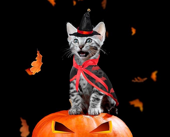 Halloween Cat Costume Cloak Witch Hat Accessories, Adjustable Bat Set, Small Cats Dogs and Other Pets Halloween Parties and Pet Cosplay