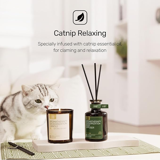 Odor Eliminating Candle, Berry Rum Scented Candle, Pet-Friendly Soy Candles, 60 Hours, 7 oz