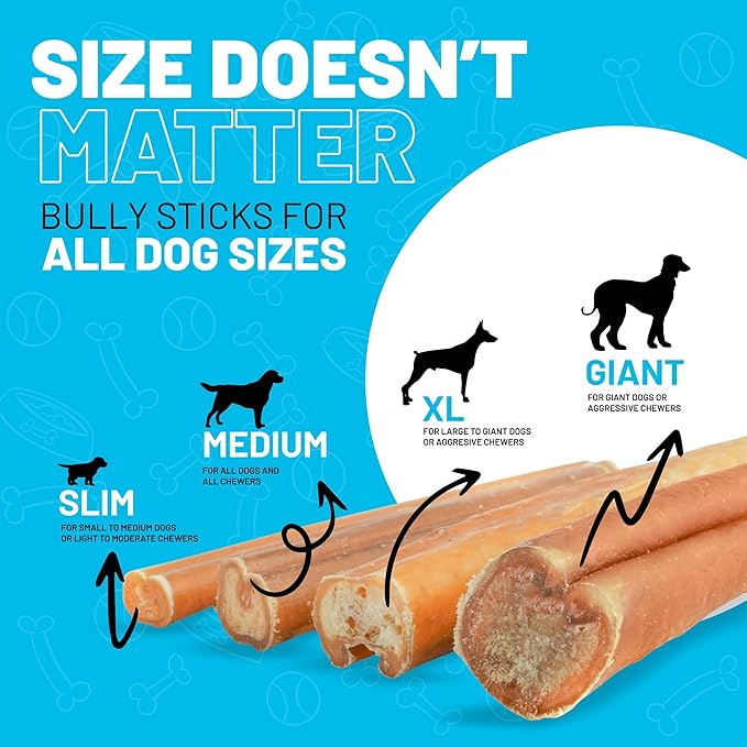 Sitka Farms Bully Sticks 12 inch - (10 Count) Long Lasting Dental Dog Chew Treats - All Natural Free-Range Grass-Fed Beef, Bully Sticks for Puppies Grain & Rawhide Free Chews