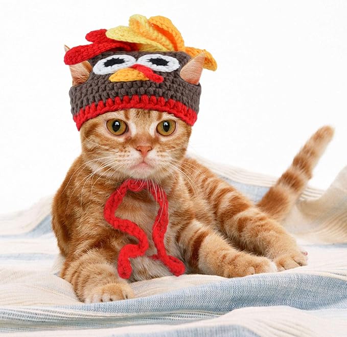Legendog Cat Costume Pet Turkey Hat Thanksgiving Apparel for Cats Small Dogs