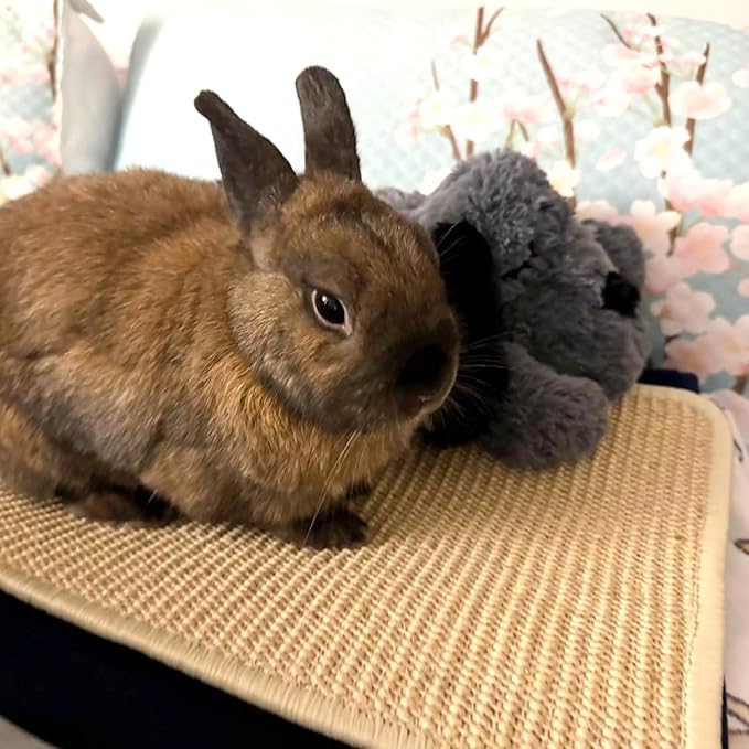 PODOO Bunny Scratch Pads, Sisal Rabbit Scratching Pad, Natural Rabbit Resting Mats for Cages, Forage Grass Mat Indoor Essentials Accessories for Guinea Pig Cat (2Pcs, 23.6 x 15.7 inches)