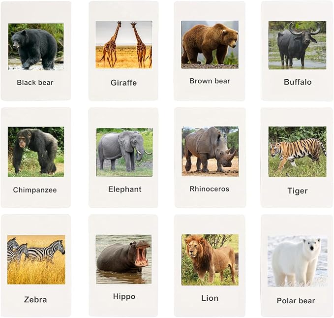 RUSON 12 Safari Animals Figures Toys with 12 Flash Cards, Realistic Mini Jungle Animal Figurines Cake Topper Party Supplies Montessori Animal Matching Game for Toddler Kids