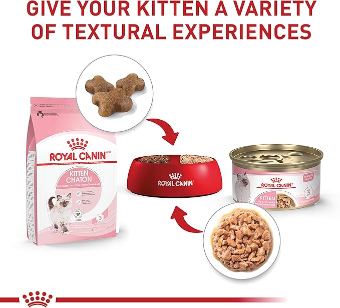 Royal Canin Feline Health Nutrition Kitten Thin Slices in Gravy Cat Food, 3 oz (Pack of 12)