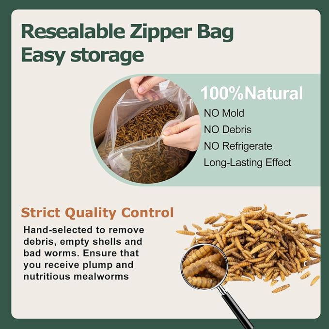 5LB Dried Black Soldier Fly Larvae for Chickens Treats Bulk - Non GMO BSF Larvae 85~180X More Calcium Than Dried Mealworms for Laying Hens, Chicken Worms for Wild Birds Natural Insect Poultr Feed