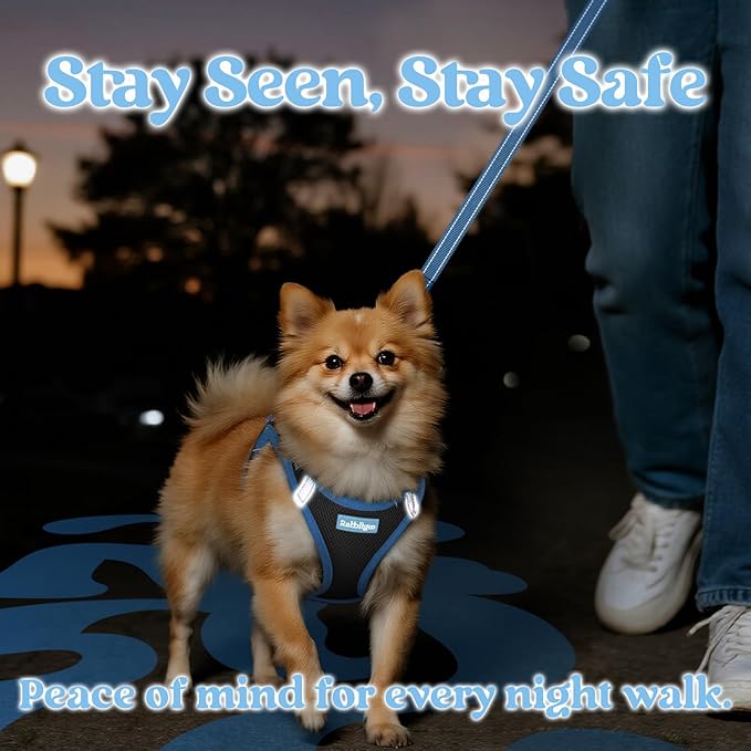 rabbitgoo Dog Harness Small Sized and Leash Set, Step-in Breathable Pet Harness, Soft Walking Reflective Puppy Vest for Small Dogs, Black & Light Blue, XXS