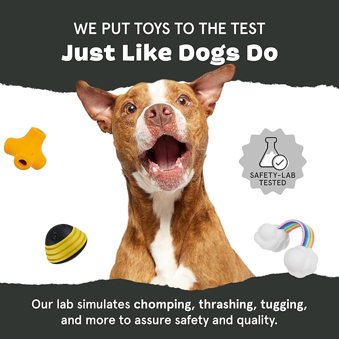 Barkbox Super Chewer Tough Dog Chew Toys for Aggressive Chewers, Dental Stimulating (Radius - Large)