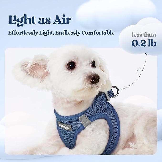 rabbitgoo Dog Harness Small Sized and Leash Set, Step in Soft Light Puppy Vest, Breathable Mesh Pet Harness, Reflective for Safe Outdoor Walking, Navy Blue S