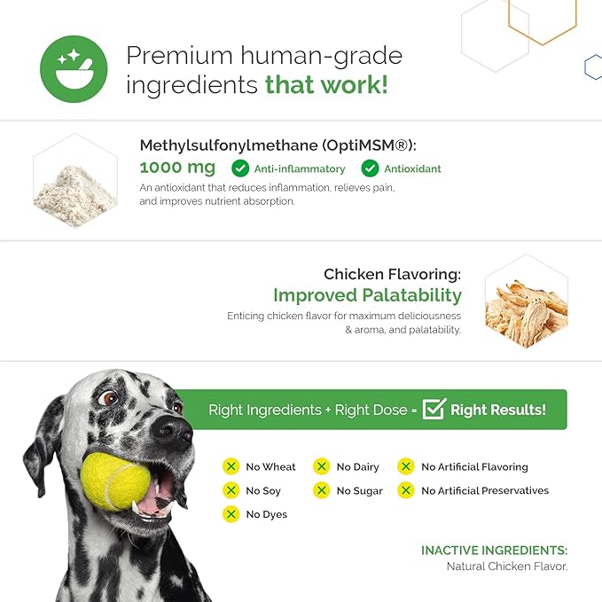 MSM Joint Boost Powder - Hip & Joint Dog Supplement for Joint Mobility & Flexibility - Natural Anti-Inflammatory with Sulfur - Chicken Flavored